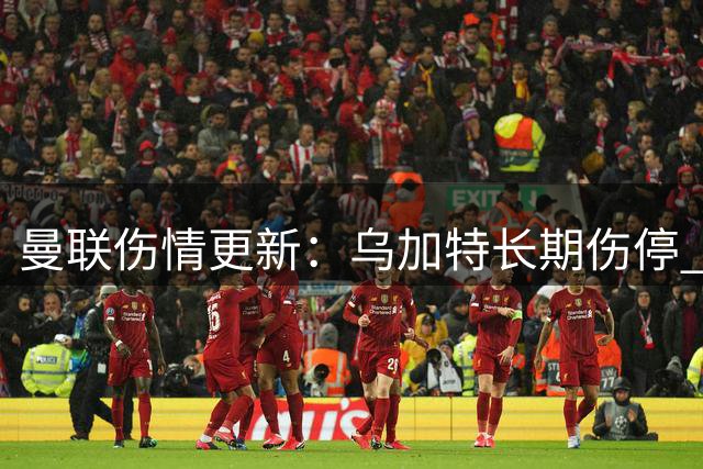 曼联伤情更新：乌加特长期伤停 芒特肖即将复出